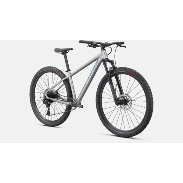 Rockhopper Expert SATIN SILVER DUST L - Image 2