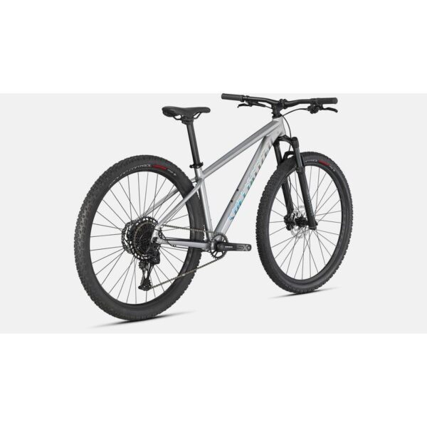 Rockhopper Expert SATIN SILVER DUST L - Image 3